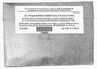Image Associated With the Occurrence